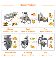 Presse-agrumes automatique à vis pour ananas, pastèque et banane, presse-agrumes électrique industriel, réduction sur les commandes en gros