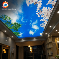 Offres spéciales Plafond en PVC extensible résistant aux UV bleu ciel pour la décoration de magasins de détail et de maisons