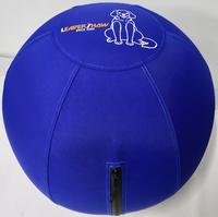 Ballon d'entraînement professionnel pour chiens et chevaux, idéal pour l'extérieur, le parc, le jeu et l'exercice, avec une housse en nylon 1680D 2520D résistante et durable