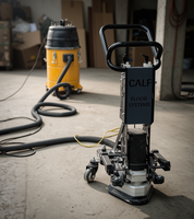 Meuleuse manuelle CALF avec support 10 pouces JS 3 têtes 250 mm, machine à meuler avec cadre 110V/220V
