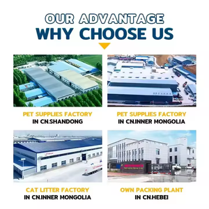 Lettiera per gatti in Bentonite a basso tracciamento Eco-Friendly con il miglior punteggio senza polvere - Product Image 3