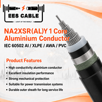 Câble d'alimentation moyenne tension blindé en aluminium NA2XSR(AL)Y 1 conducteur, isolé XLPE, gaine PVC, fil d'aluminium, norme IEC 60502