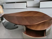 Table basse de rangement design, forme spéciale, écologique, luxe léger, moderne, en forme de feuille, placage noyer, garantie 1 an, pour salon