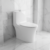WC monobloc en céramique au design moderne à grand tuyau, double chasse, auto-nettoyant, émaillé, à poser au sol, blanc/ivoire, pour usage hôtelier, siphon en S