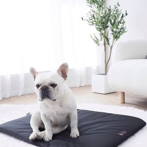 Pañales Desechables para Perros, Diseño 2024, Blancos y Azules, con Adhesivos en las Cuatro Esquinas, Pañales para Mascotas al por Mayor - Product Image 4