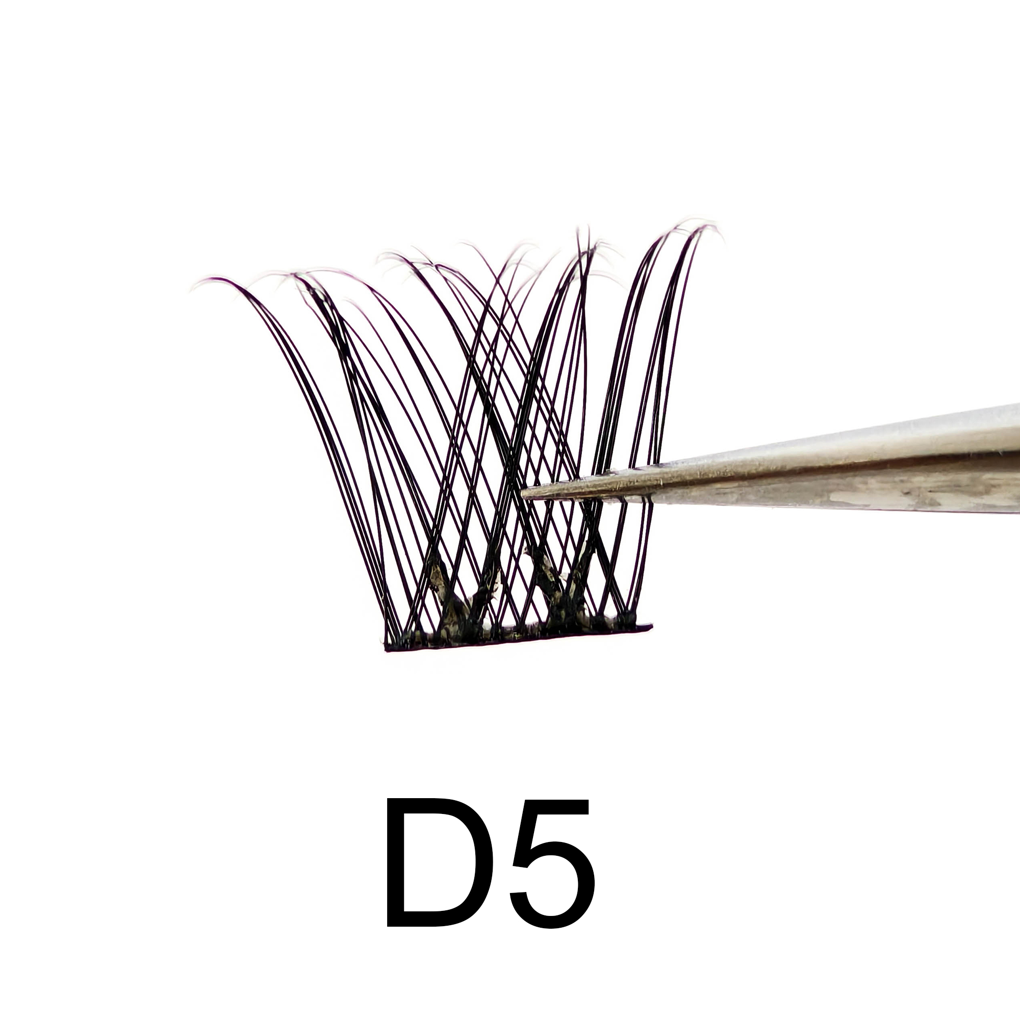 D5