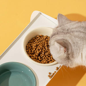 Olla de cerámica elevada inclinada para gatos, cuenco de alimentación para mascotas de estilo europeo, cuenco doble para comida para gatos, cuenco elevado doble para mascotas, alimentador para perros - Product Image 3