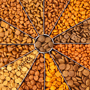 OEM ODM Fábrica Venta Directa Tienda Mascotas Importación Alimento Seco Gatos Perros 10kg Perca Pavo Sabor Control Peso Crudo - Product Image 4