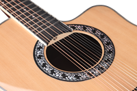 Guitare acoustique AFO29CE-12 à 12 cordes, tête de machine de haute qualité, dos rond