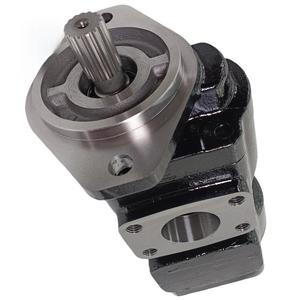 PGP517B0140CD1H3NE6E5S+PGP517B0140NE6E5S 511A0060NE3E3 Pompe à engrenages hydraulique PGP PGP315 PGP502 PGP505 PGP511 PGP517 PGP620 PGP640 - Product Image 6