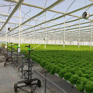 Serres <span class=keywords><strong>de</strong></span> <span class=keywords><strong>jardin</strong></span> en film plastique PVC, kit complet avec canaux NFT pour culture hydroponique, qualité alimentaire, grande taille, monocouche, pour légumes-feuilles - Product Image 5