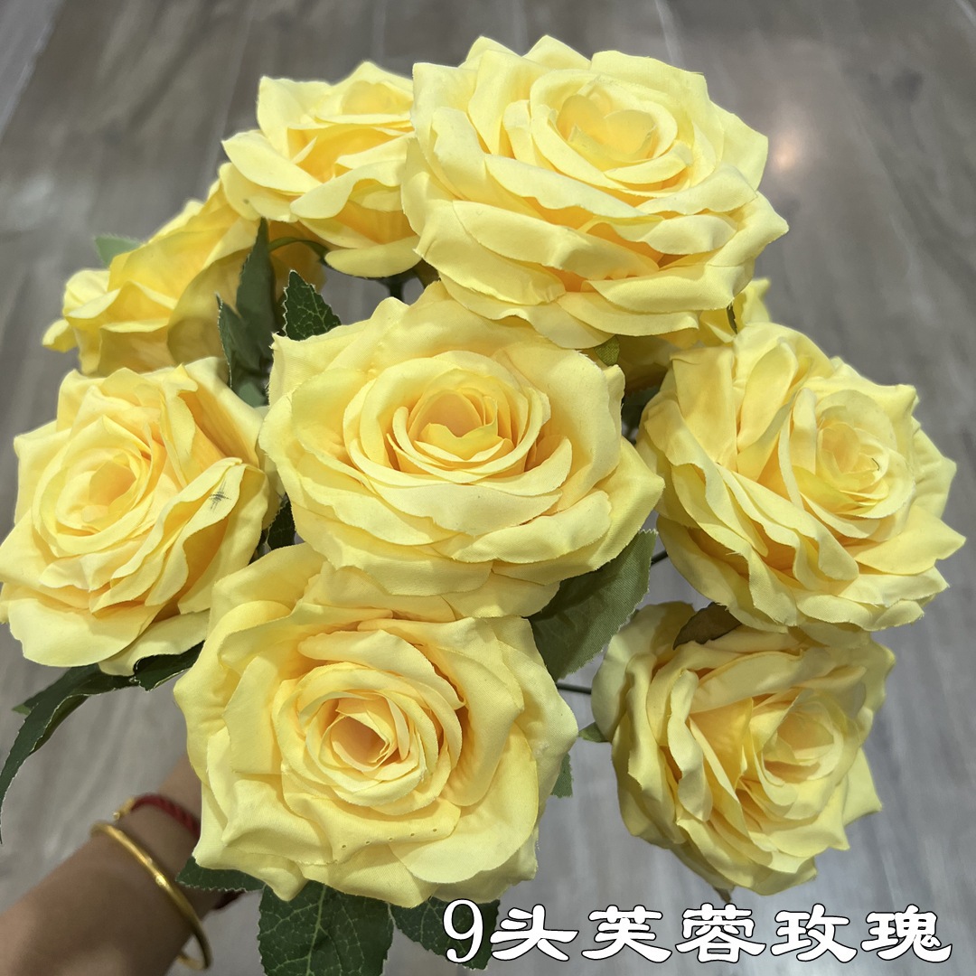 9 hibiscus rose jaune