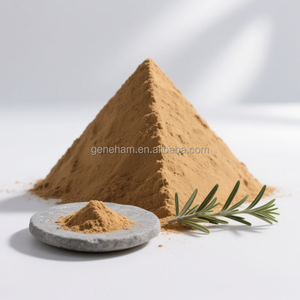 <span class=keywords><strong>Gmp</strong></span> chứng nhận cấp thực phẩm Lâm suốt-sức mạnh Hương thảo lá chiết xuất 2.5% 65% có thể điều chỉnh rosmarinic axit nội dung bột hình thức - Product Image 5