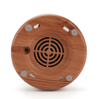 Humidificateur ultrasonique écologique FLL à LED multicolores, alimenté par USB, purificateur d'air, capacité >200 ml, léger et portable pour la maison