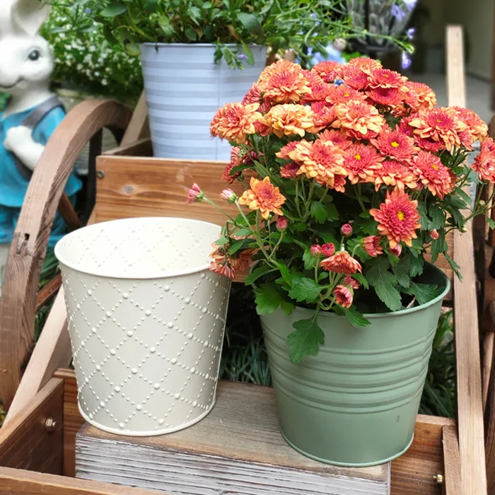 Dusting color Metal Planter Pot Pastel Galvanized Flower Metal Bucket For Summer Garden Plant Flower