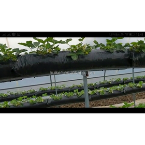 <span class=keywords><strong>Sac</strong></span> de <span class=keywords><strong>plantation</strong></span> hydroponique pour fraises, 15*12*115cm, 120 microns, robuste et durable - Product Image 4