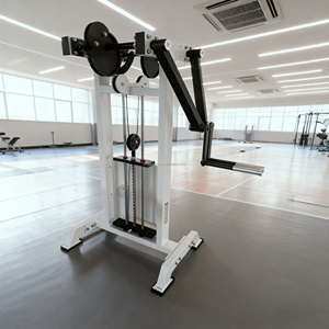 Nouvelle arrivée Commercial multifonctionnel épaule poitrine <span class=keywords><strong>exercice</strong></span> broche chargée debout latérale augmenter Machine - Product Image 5