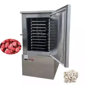 Çin üretimi endüstriyel restoran ekipmanları Spiral hızlı dondurucu 500 kg/saat Iqf tünel sıvı azot gıda dondurucu makinesi