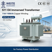 Transformateur de puissance triphasé immergé dans l'huile, entrée 10 kV, sortie 400 V, 50 kVA, 100 kVA, 200 kVA, 500 kVA, 630 kVA, 50/60 Hz, haute tension extérieure