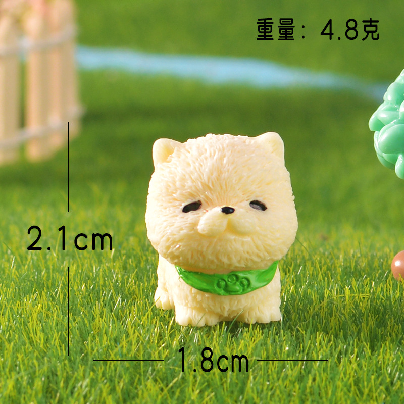 Chow chow