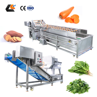Industriële salade snijmachine van roestvrij staal SUS304, kleine salade wasmachine, kleine salade verwerkingslijn