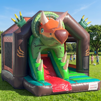 Château gonflable commercial en PVC pour intérieur et extérieur, coloré, avec toboggan, idéal pour la location de fêtes et les événements