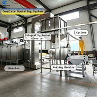 Machine à torréfier et blanchir les cacahuètes à haut rendement (1000-2000 kg/h) avec contrôle PLC et éplucheur de cacahuètes séparé