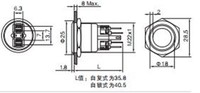 Interrupteur à bouton-poussoir lumineux en acier inoxydable ELEWIND 22 mm, 24 V, momentané, tension maximale 220 V, pour l'éclairage
