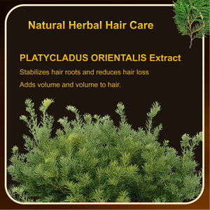 Marque privée personnalisée OEM Shampooing et après-shampooing nourrissant avec contrôle de l'huile Ensemble de soins capillaires antipelliculaires - Product Image 3