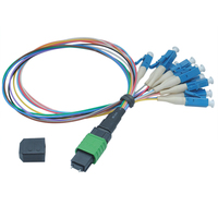 Kabel Patch Cord MPO ke LC FTTH Singlemode 12 Core 0.9mm dengan Rakitan Fanout, Garansi 1 Tahun