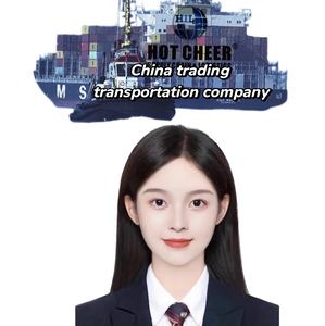 Servicios logísticos completos puerta a puerta desde China al Reino Unido, Canadá y Australia con DDP - Product Image 2