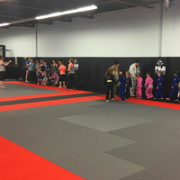 Tapis de Judo et de Jiu-Jitsu Souple Antidérapant en Éponge pour Exercice et Entraînement, Personnalisable – Offre Spéciale