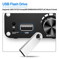   Amplificateur audio numérique Hi-Fi 5.3, classe D 2.0 stéréo, bureau/cinéma maison
