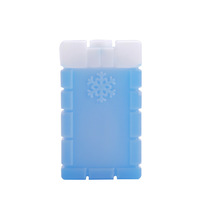 120ml 200ml 350ml 400ml 600ml 700ml 1000ml ml HDPE Boîte de glace réutilisable Brique de glace Pack de gel de refroidissement