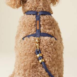 Arnés de neopreno transpirable ligero para perros, correas ajustables, arnés de lona para mascotas para paseos sin estrés, cómodo y elegante - Product Image 3