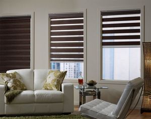 Persianas Enrollables Motorizadas con Control Remoto, Cortinas Zebra Eléctricas a Medida - Product Image 3