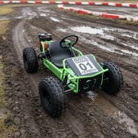 Nuevo Diseño, Motor de 4 Tiempos y 212cc, Llantas de 8 Pulgadas, Velocidad Máxima 70km/h, Go-Kart de Combustible en Oferta