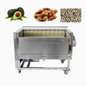 Fácil de operar Automático Industrial 500 kg/h Cacahuete Jengibre Rodillo Lavadora Cepillo Peladora Caña de azúcar Máquina peladora de patatas