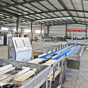 Machine automatique de tri de poids d'écrevisses de crevettes banane fruits légumes mini équipement de tri de poisson de classement de pommes de terre - Product Image 4