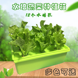 Boîte de culture hydroponique 38x28x14 cm avec 12 trous pour la culture de légumes d'intérieur - Product Image 5