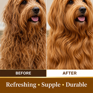 Huile de Soin Capillaire Liquide Nourrissante Longue Durée pour Animaux de Compagnie (Chiens et Chats) – Hydratation Naturelle et Fraîcheur – Marque Blanche - Product Image 2