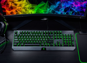 BlackWidow Essential Green avec rétroéclairage LED, clavier standard 104 touches pleine taille - Product Image 2