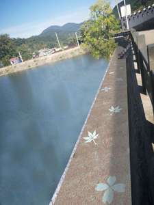 चमकदार चमक गहरे बजरी ड्राइववे फोटोल्यूमिनेसेंट पत्थर बगीचे के ड्राइववे चिंतनशील सामग्री के लिए प्रतिबिंबित करते हैं - Product Image 2