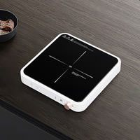 Réchaud à fondue portable de petite taille, bouton OEM 110v 220v, cuisinière à induction électrique à brûleur unique