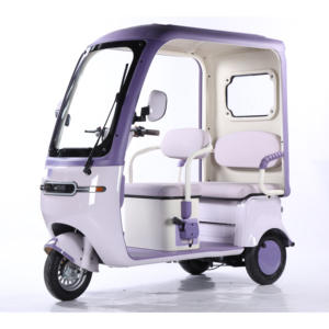 Kendaraan Listrik Roda Tiga Berkualitas Tinggi untuk Penumpang Dewasa dengan Desain Sederhana yang Populer dan Sertifikasi CE - Product Image 1