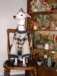 เสื้อผ้าสัตว์เลี้ยงสุดหรูสำหรับสุนัขแบบตั้งได้ผ้าฟลีซสองชั้นบุขนแกะอบอุ่นซับในเสื้อผ้าสัตว์เลี้ยงสำหรับสุนัข - Product Image 5