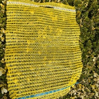 Sac en filet Raschel en plastique PP pour l'emballage des pommes de terre, des oignons, des dattes, des fruits et des légumes