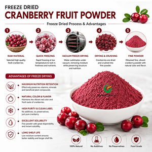 Poudre <span class=keywords><strong>de</strong></span> fruits <span class=keywords><strong>de</strong></span> canneberges lyophilisés, ingrédient <span class=keywords><strong>de</strong></span> qualité alimentaire pour les boissons, les smoothies, les yaourts et la pâtisserie - Product Image 3
