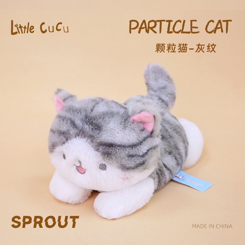 Chat granuleux gris