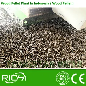 China Granulator - Hot Sale Bio-Dünger Holz Alfalfa Stroh Cassava Biomasse Pellet Granulator Maschine